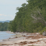 Lake Ontario Water Temperature