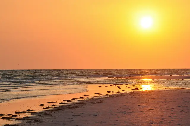 Tampa Bay Water Temperature Current Water Temp In Tampa