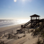 Corolla water temperature